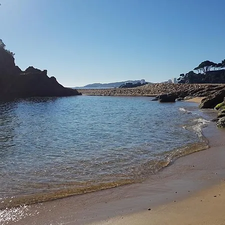 Apartamento Junto Al Mar Con Jardin Comunitario Y Parking *